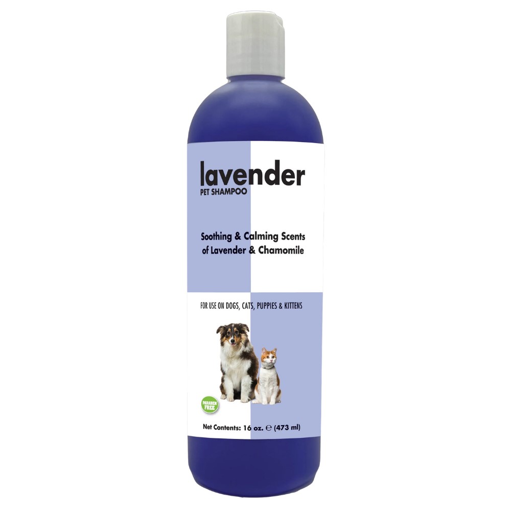 Lavender Show Season Lavender Show Season