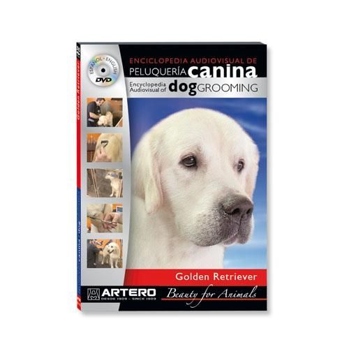 golden-retriever-dvd-artero-106
