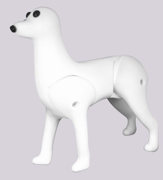 manekin-model-dog-bichon-caly-pies-4754