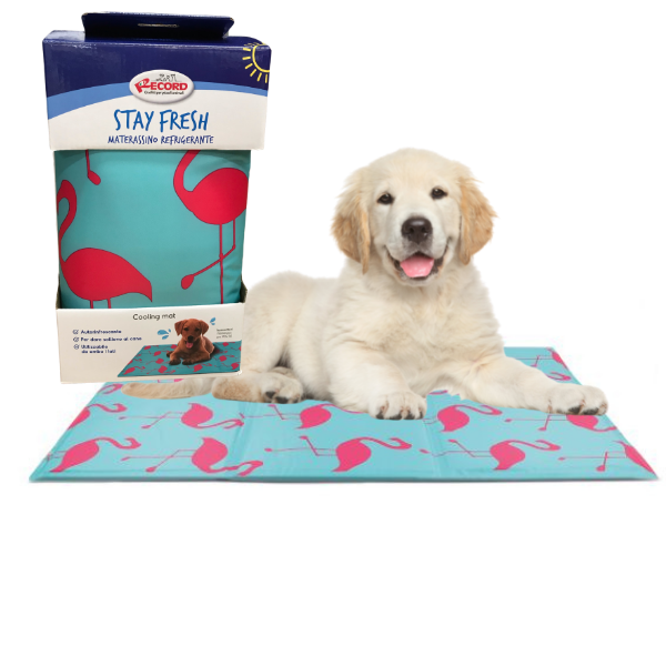 mata-chlodzaca-flamingi-90x50-11490