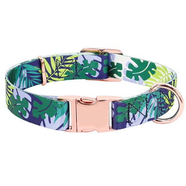 obroza-dla-psa-jungle-7526