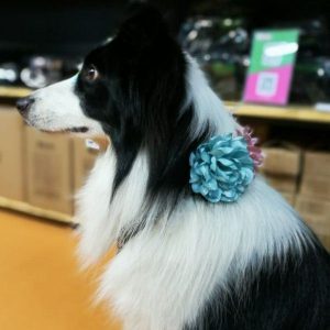 Ozdoba na szyję - niebieski kwiat