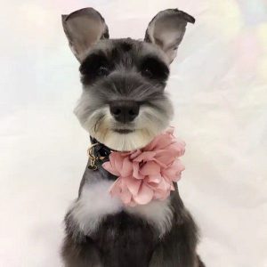 OZDOBA NA SZYJĘ RÓŻOWY KWIAT