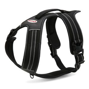 Szelki dla psa Alpi Action Record kolor czarny