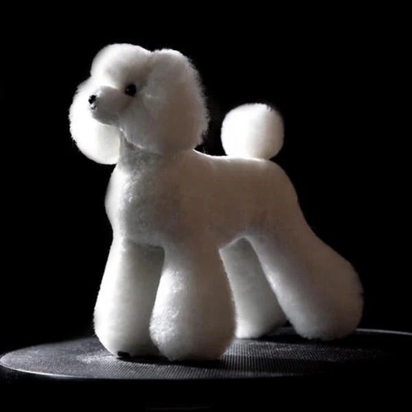 wlosy-biale-opawz-toy-poodle-10-12-cm-7868