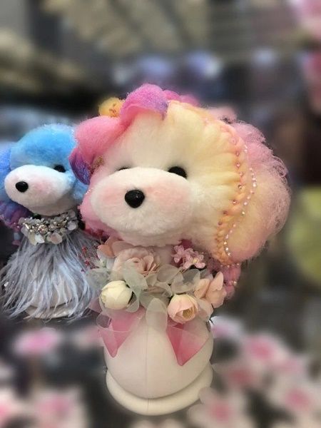 wlosy-glowa-biale-teddybear-opawz-10192