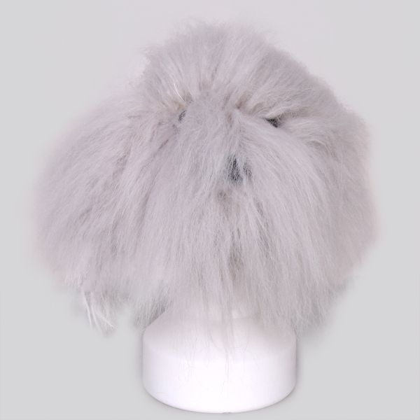 wlosy-szare-do-model-dog-glowa-4809