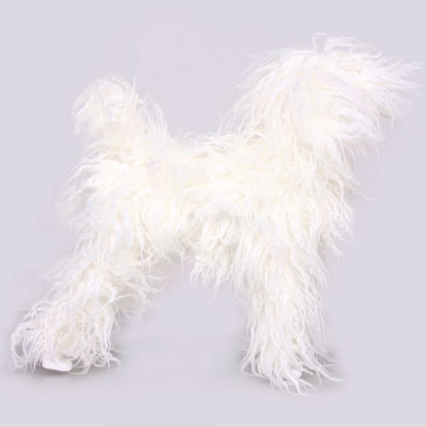 x_wlosy-do-model-dog-cialo-biale-dlugi-wlos-4899