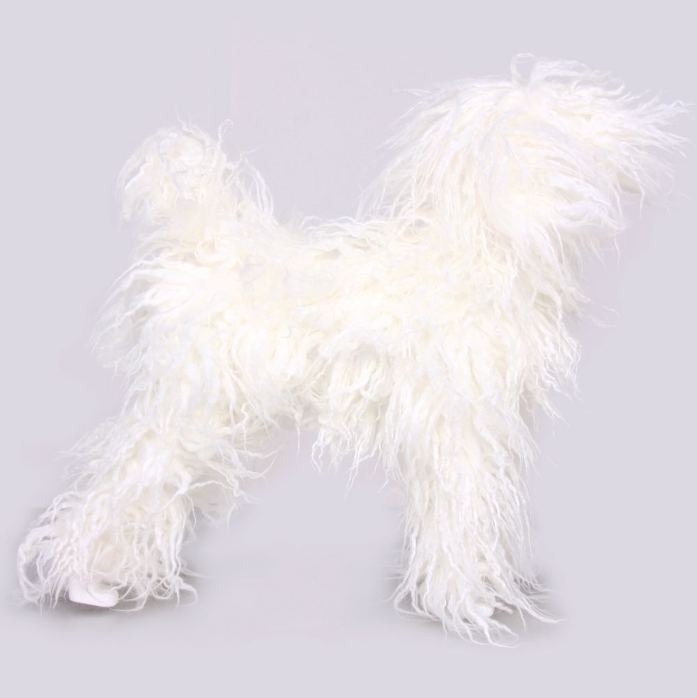 x_wlosy-do-model-dog-cialo-biale-dlugi-wlos-4899