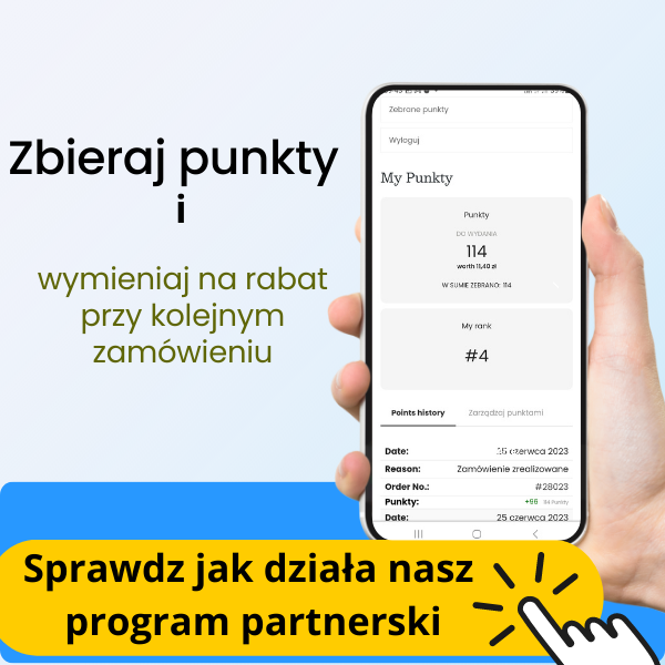 Program partnerski