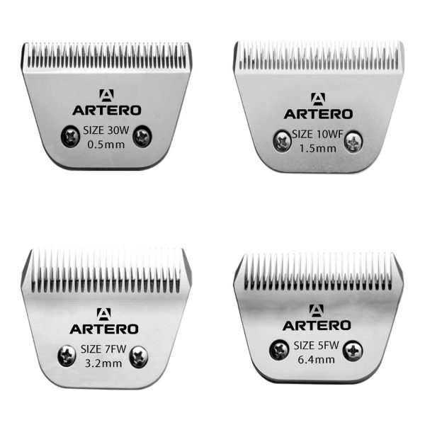 Projekt bez nazwy (1)