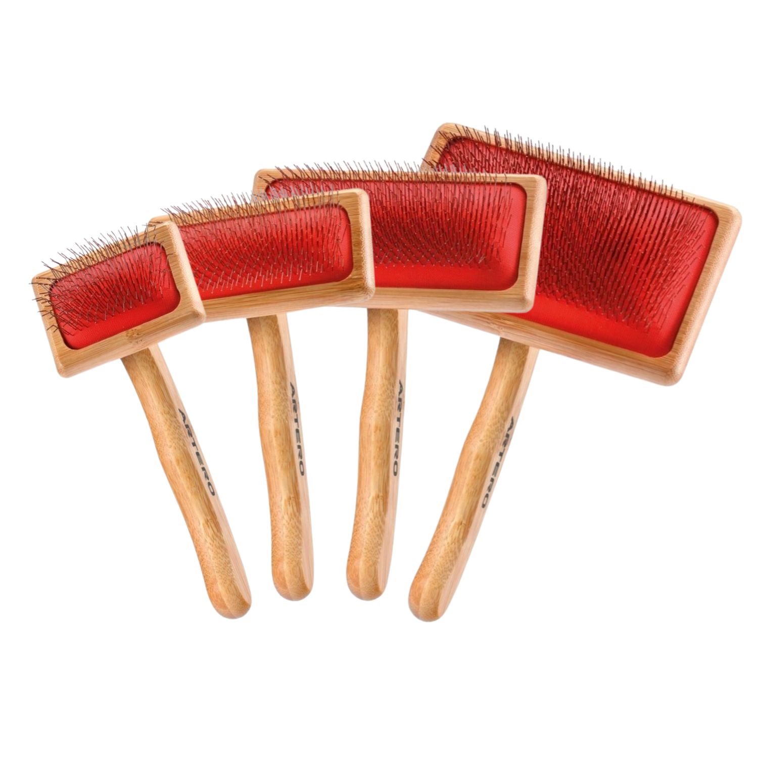 Szcotki Atrero Juliet