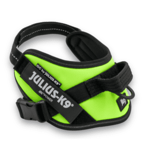 Szelki Julius K9 Yellow #mini 49-67cm 7-15kg