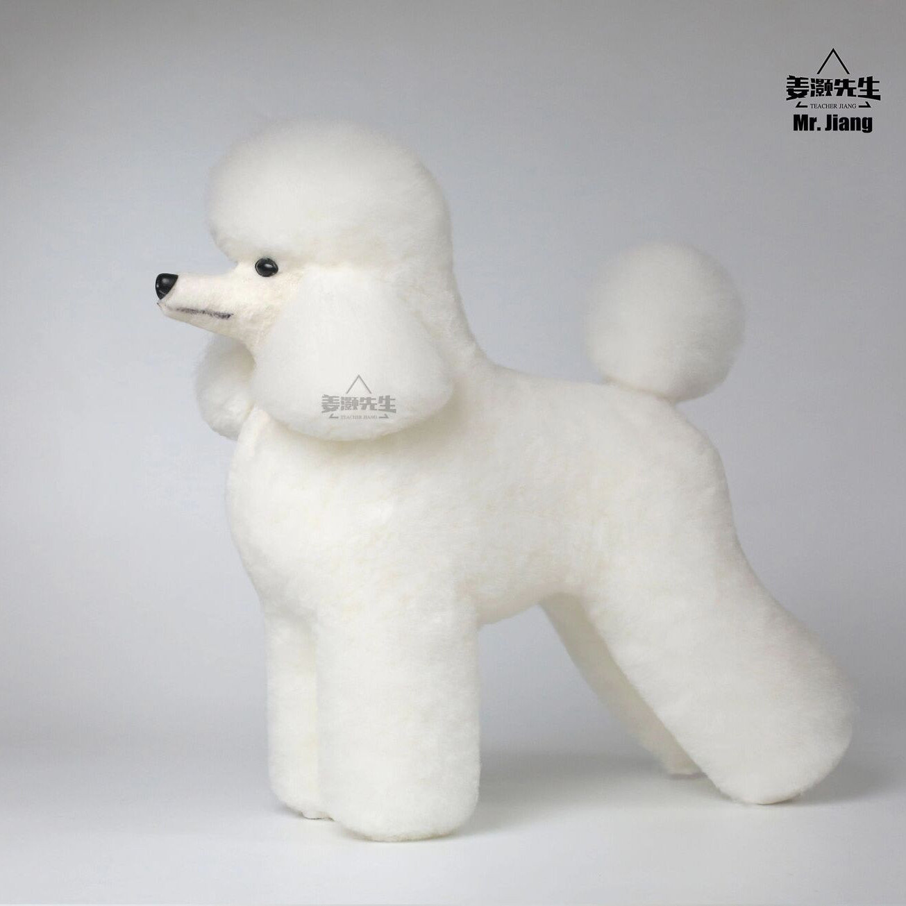 Włosy poodle