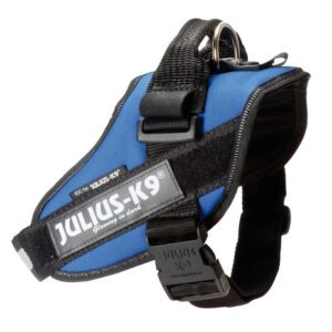 Szelki Julius K9 IDC Power niebieskie