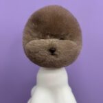 c7b3d4226837bbf6766c2b9d7ab6878c