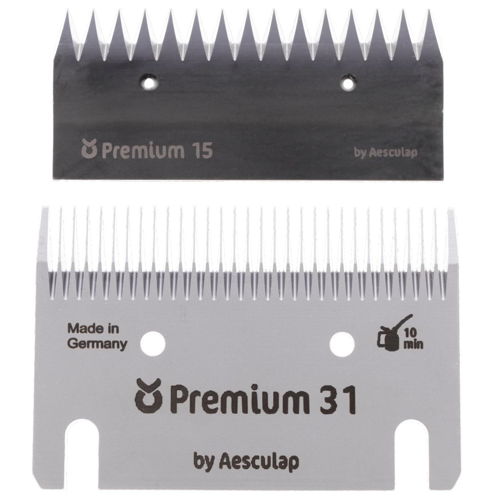 df04299cb8a9037a1e18929d30b5e002