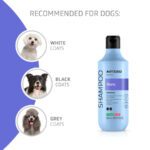 6cbbb670ff49b4364669828871c82cb0