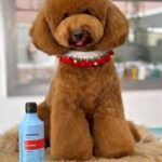 f8f821229579c042f1faac68496f0f81