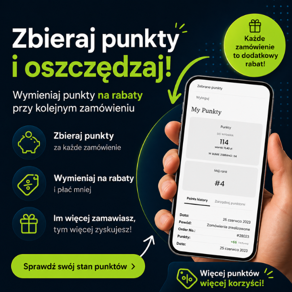 Program partnerski
