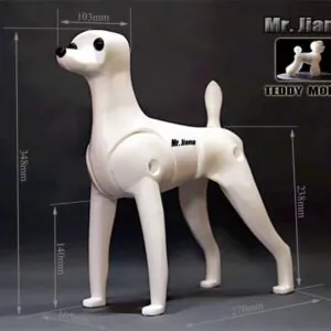 Manekin Teddy Body model Mr Jiang