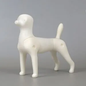 Manekin Multi Purpose model dog Mr Jiang