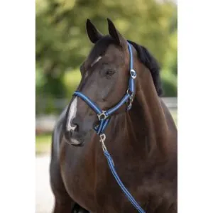Kantar dla konia Hippo granatowy/niebieski Covalliero 00/Foal