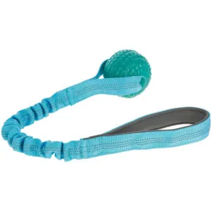 Zabawka dla psa bungee Toy niebieska